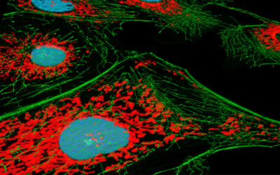 New Scale Announces Availability of new DART linear actuator and stage platform